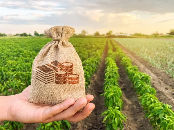 The farmer holds a money bag on the background of plantations. Lending and subsidizing farmers. Grants and support. Profit from agribusiness. Land value and rent. Taxes taxation. Agricultural startups