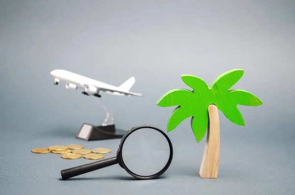 Palmera miniatura y un avión de juguete. El concepto de planear unas vacaciones de verano o invierno. Descanso familiar. Búsqueda de tours calientes. Ofertas disponibles. Aviones. Avión. Acumulación. Ahorro de dinero . — Foto de Stock