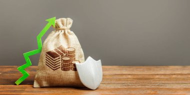 Nakit para sembolü, yeşil bir ok yukarı ve kalkan ile Çanta. Müşteri haklarının korunması. korunan sermaye. Paranın korunması kavramı, garantili mevduat. Tasarruf güvenliğini artırmak