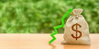 Dolar sembolü ve yeşil ok ile para çantası. Kar ve servet ilerler. ücret artışı. Yatırım cazibesi. krediler ve sübvansiyonlar. uygun koşullar. İş için uygun koşullar.