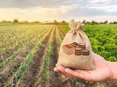 The farmer holds a money bag on the background of plantations. Lending and subsidizing farmers. Grants and support. Profit from agribusiness. Land value and rent. Taxes taxation. Agricultural startups clipart