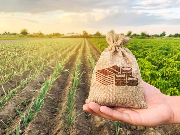 The farmer holds a money bag on the background of plantations. Lending and subsidizing farmers. Grants and support. Profit from agribusiness. Land value and rent. Taxes taxation. Agricultural startups — Stock Photo, Image