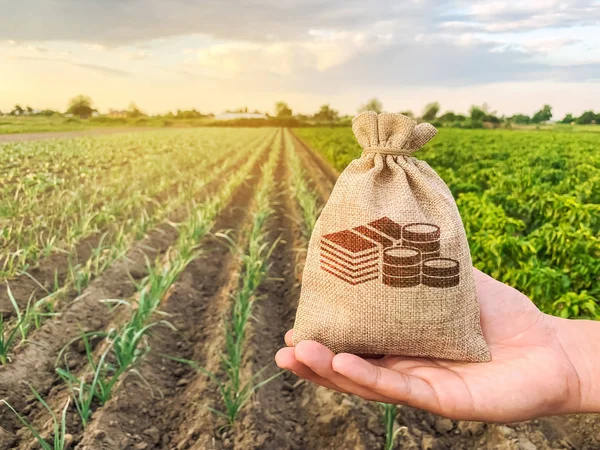 El agricultor sostiene una bolsa de dinero en el fondo de las plantaciones. Prestar y subsidiar a los agricultores. Subvenciones y apoyo. Beneficio del agronegocio. Valor de la tierra y alquiler. Impuestos impuestos. Puesta en marcha agrícola — Foto de Stock