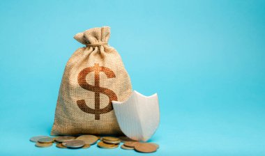 Dolar sembollü ve koruyucu kalkanlı çanta. Paranın güvenliği, garantili mevduat. Müşteri hakları koruması. Enflasyon kayıplarının tazminatı, yatırım sermayesinin korunması.