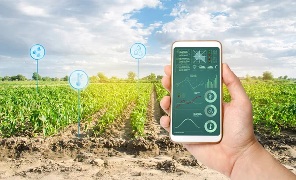 농부는 배경에 스마트폰을 가지고 있습니다 자동화 과학적 — 스톡 사진