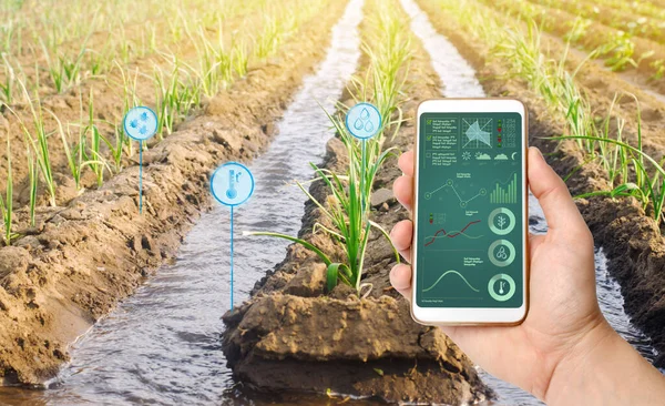 Çiftçi 'nin arka planında pırasa tarlası olan bir akıllı telefonu var. Tarım girişimi. Otomasyon ve mahsul kalitesinde iyileşme. Yüksek teknoloji, yenilik. Bilimsel araştırma. Pomoloji
