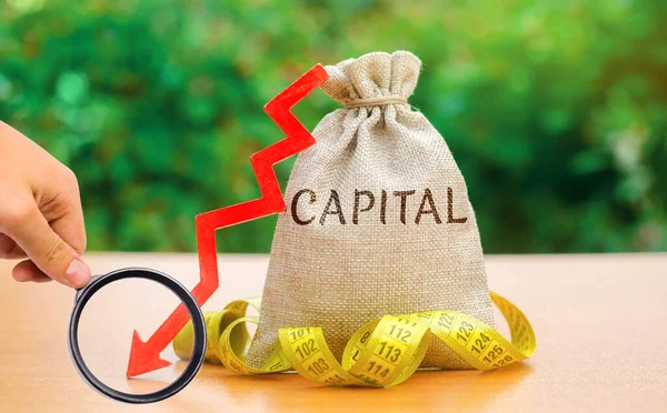 Pénzeszsák Capital Arrow Szóval Engedélyezett Tőke Szintjére Süllyedni Saját Tőke — Stock Fotó