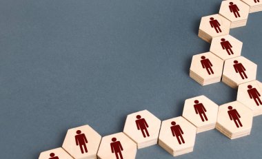 Şirket insanlarının sistem yapısı altıgen zinciri gibidir. Geliştirme ve takım oluşturma. İş organizasyonu, sorumluluk dağılımı, iyi koordine edilmiş takım çalışması. İşe alım ve işe alım.