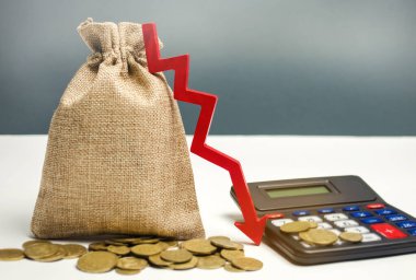 Para çantası ve kırmızı ok düştü. Ekonomik zorluklar. Durgunluk, azalan iş aktiviteleri, düşen zenginlik. Sermaye kaçışı, yüksek riskler. Masraflar. Kriz, kayıp birikimleri. Durgunluk.