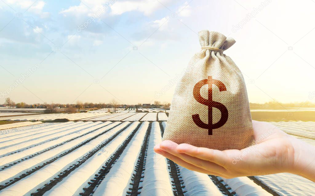 A hand holds out a dollar money bag on a background of white spunbond agrofibre rows on a farm field. Lending farmers and agricultural enterprises. Support and subsidies. Protective coating for corps.