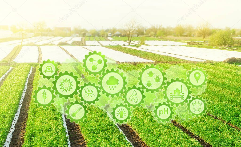 Futuristic innovative technology pictogram on green farm potato fields on an sunny morning day. Agricultural startups, improvements, digitalization agriculture industry. Innovation and development.