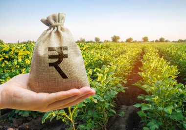 Money bag on the background of agricultural crops in the hand of the farmer. Agricultural startups. Profit from agribusiness. Lending and subsidizing farmers. Rupee, rupiah. Grants and support. clipart