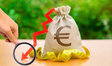 Paralı çanta ve okla birlikte mezura. Düşen maaşlar ve refah. Düşük kâr ve yatırımın likiditesi. İflas kavramı. Kötü iş intikamı. Sermaye çıkışı. Euro