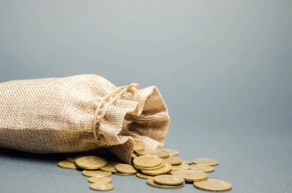 Money bag and coins falling from it. Concept of savings and the economy. Deposit. Cost control. Profit and liquidity. Cash Management. Distribution of money. Budget planning. Selective focus