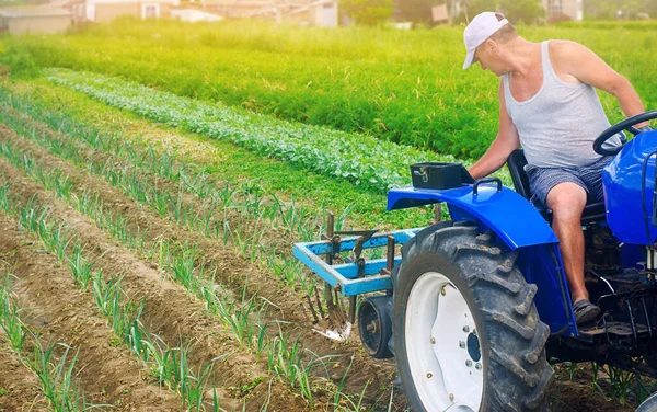 Ein Landwirt Pflügt Mit Einem Traktor Ein Feld Gemüsereihen Mit — Stockfoto