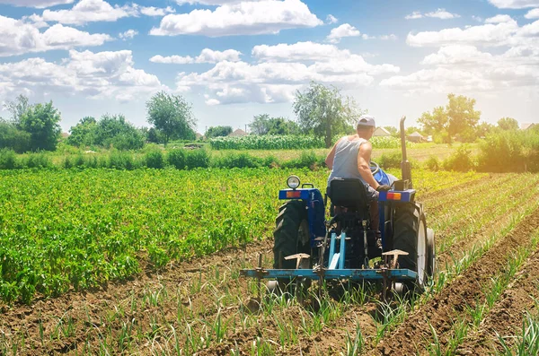 Agriculteur Sur Tracteur Laboure Champ Rangées Poireaux Légumes Champ Tir — Photo