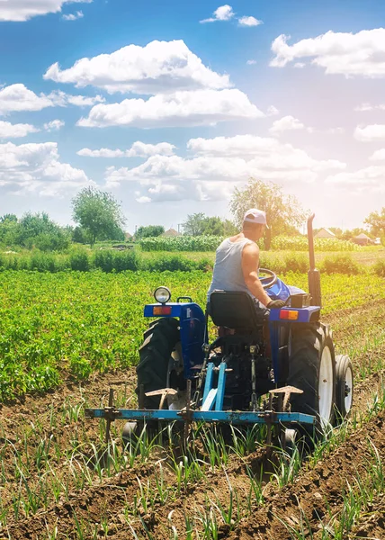 Agriculteur Sur Tracteur Laboure Champ Rangées Poireaux Légumes Champ Tir — Photo