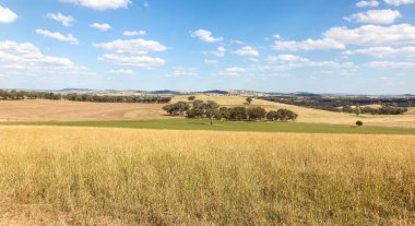 Cowra Merkezi Batı New South Wales içinde hem kırpma ve hayvan yetiştiriciliği için çok iyi tarım arazisi vardır. Cowra Nsw Avustralya.