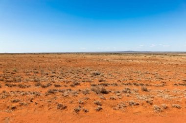 Düz turuncu kuraklık kiralamada Towers güneyinde orta Queensland topraklarda etkilenir. Central Queensland bir uzak birçok kuraklık konuya ise yer.