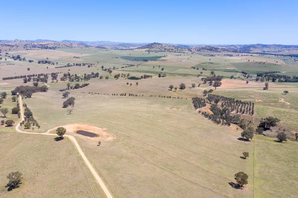 Aerial View Farm Land Cowra Central West New South Wales — Stock Photo, Image