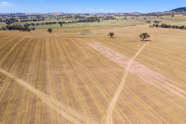 Expansive Aerial View Farm Land Cowra Central West New South — Stock Photo, Image