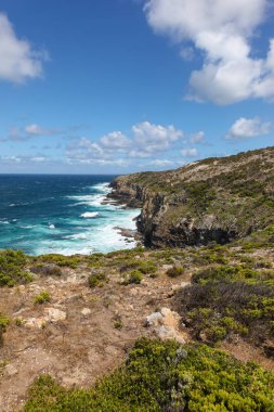 Cape Bridgewater - Victoria Türkiye
