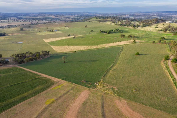 Сельский ландшафт Коура - Центральный Западный Новый Южный Уэльс, Австралия — стоковое фото