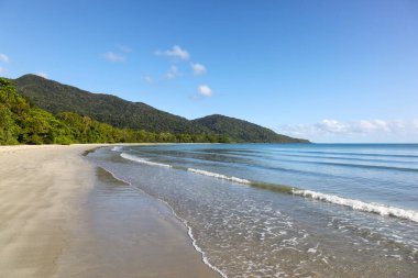Empty beach at Cape Tribulation where the tropical rainforest runs right to the shoreline. The Daintree area north of Cairns is a beautiful location. clipart