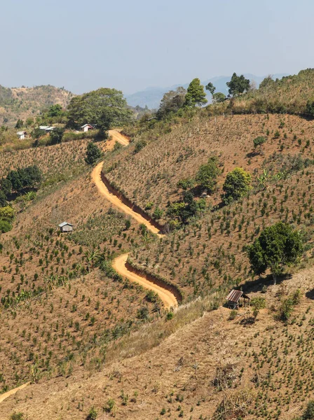 Hillside Farmland Kalaw Myanmar Burma Area Popular Trekking Overseas Tourists — Stock Photo, Image