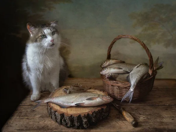 Still life with fish and hungry cat