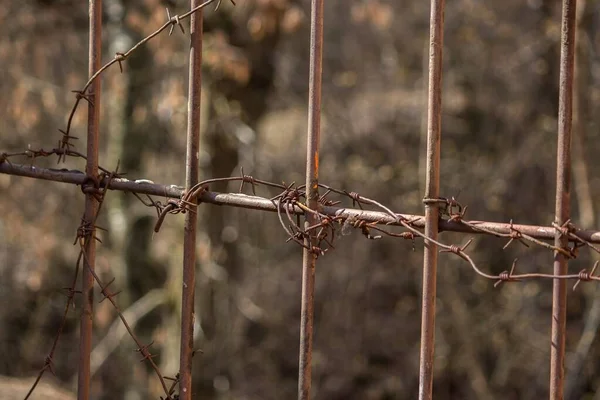 Cerca Arame Farpado Enferrujado — Fotografia de Stock