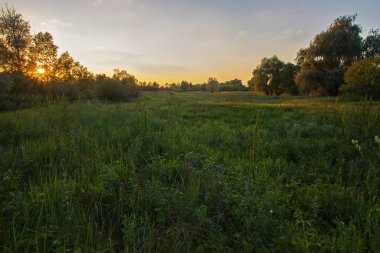  Nehrin üzerinde bir çayırda gün batımı