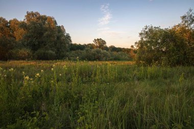  Nehrin üzerinde bir çayırda gün batımı