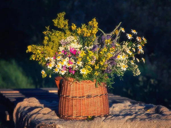 Verão Ainda Vida Com Buquê Flores Silvestres — Fotografia de Stock