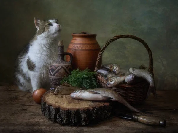 Nature Morte Avec Des Poissons Chat Drôle — Photo