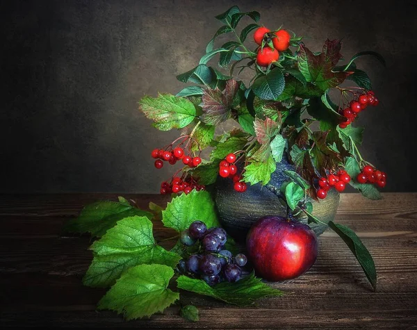 Őszi Csendélet Viburnum Gyümölcs Csokorral — Stock Fotó