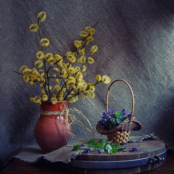 Ανοιξιάτικη Νεκρή Φύση Κλαδιά Ιτιάς Και Λουλούδια Βιόλας — Φωτογραφία Αρχείου