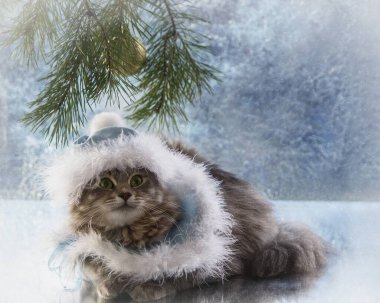 Güzel, genç kedili Noel kartı.