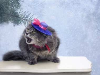 Kışın tebrik kartı için sevimli gri kediciğin portresi.