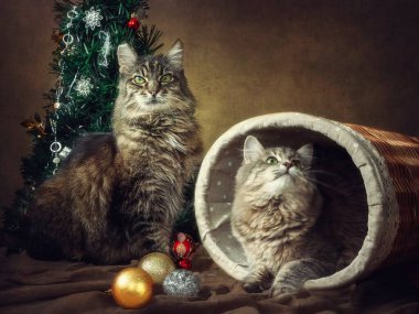 Sevimli kedilerle dolu yeni yıl tebrik kartı.