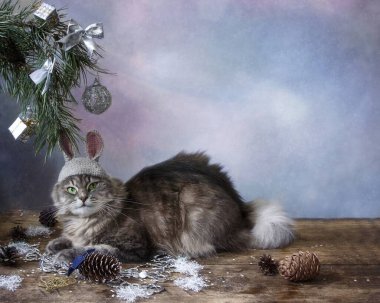 Noel ağacının altında tavşan kostümü giymiş kedi.