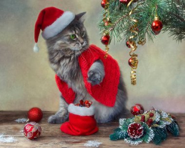 Noel ağacının altındaki Noel şapkalı kedicik.