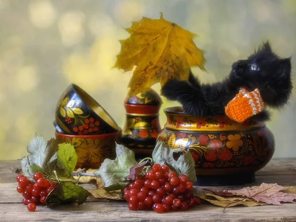 Piccolo Gattino Nero Foglie Cadenti — Foto Stock