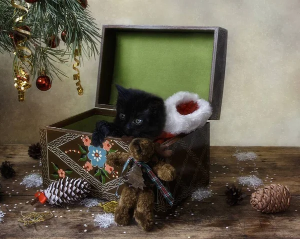 Kleines Schwarzes Kätzchen Unterm Weihnachtsbaum — Stockfoto