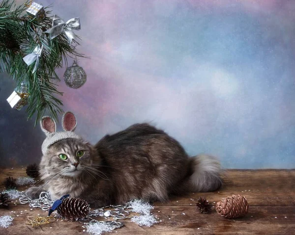 Noel ağacının altında tavşan kostümü giymiş kedi.