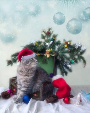 Noel Baba şapkalı sevimli gri kedi Noel ağacının altında
