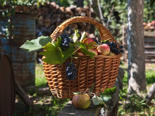 Nature Morte Plein Air Avec Panier Fruits — Photo