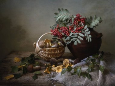 Mantarlı ve Rowan 'lı bir sonbahar.