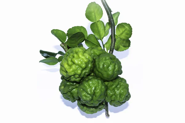 Beyaz arka planda yapraklı Bergamot meyvesi.