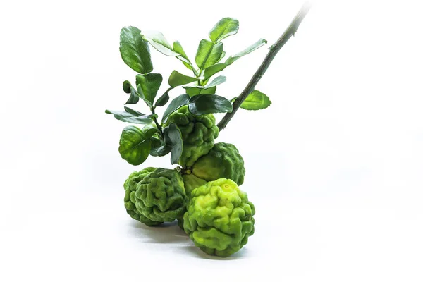 Beyaz arka planda yapraklı Bergamot meyvesi.
